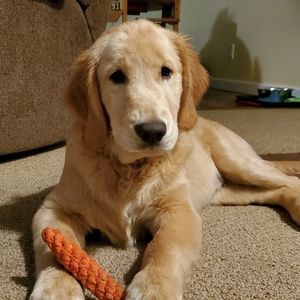 Make me an offer! If it's too low I'm happy to haggle till we agree on a price